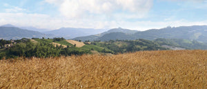 Farina Luce® 9 grani antichi nello stesso campo.