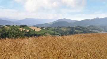 Farina Luce® 9 grani antichi nello stesso campo.