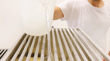 Farina Luce® alla prova con i mastri pastai