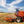 Laden Sie das Bild in den Galerie-Viewer, (offerta) 12 Pz. Tutta Pasta BIO LaGranum (varie tipologie) - grano duro, artigianale - Bio Tot.6Kg. - AmoreTerra shop