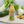 Charger l'image dans la galerie, Vellutata bio di zucchina e finocchio AmoreTerra in bottiglia di vetro, ambientata tra zucchine e finocchi freschi su tovaglietta beige, perfetta per comunicare freschezza e naturalità.