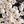 Laden Sie das Bild in den Galerie-Viewer, Orecchiette integrali Senatore Cappelli | BIO | grani antichi 500g | Premiata Great Taste 2025 - AmoreTerra shop