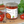 Carica immagine nella gallery, Fagioli Cannellini al Pomodoro Bio Italia 270g. - AmoreTerra shop