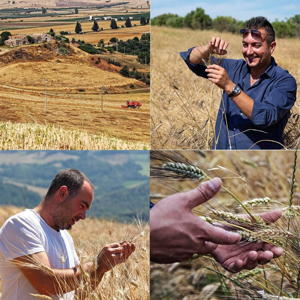 (offerta) 6 Pz. Eliche bio "LaGranum" - artigianale, BIO, 100% grano italiano, lenta essiccazione. - AmoreTerra shop