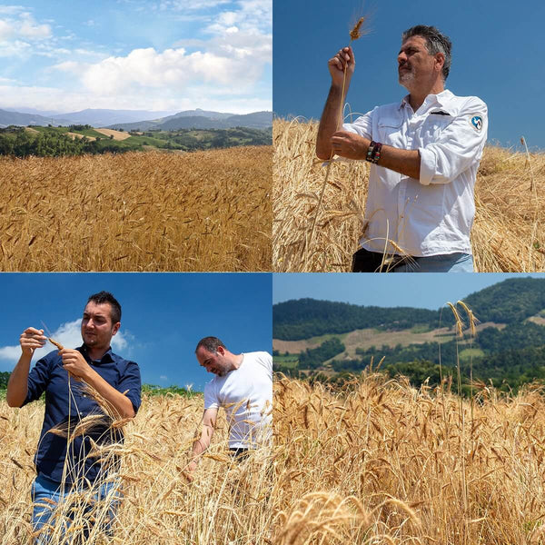 Farina Luce® 9 grani antichi, integrale BIO 5kg | AmoreTerra €20 AmoreTerra