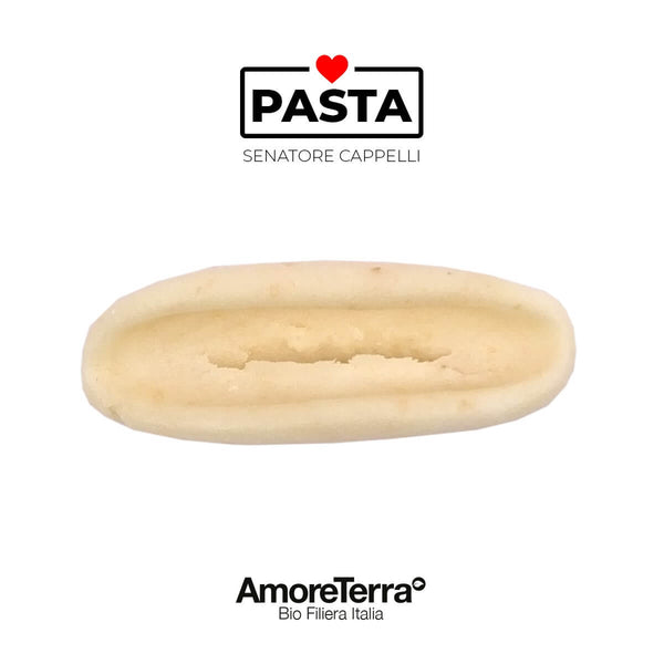 Cavatelli Senatore Cappelli, BIO, artigianale | AmoreTerra €3.4 AmoreTerra