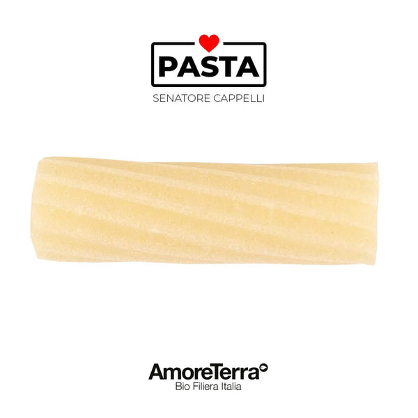 Maccheroni S. Cappelli, BIO, artigianale | AmoreTerra €3.25 AmoreTerra