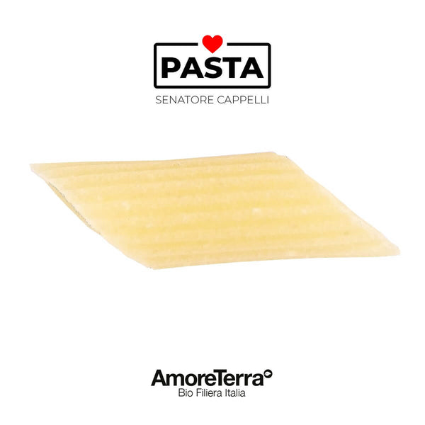Mezze penne Cappelli, BIO, handwerklich | AmoreTerra €3.25 AmoreTerra