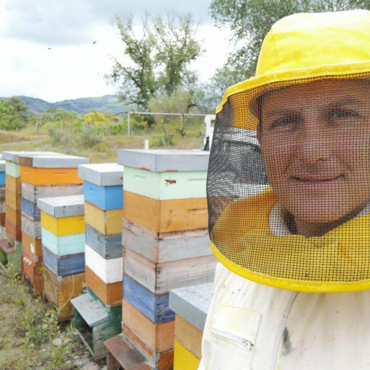 Miel BIO brut : QUALITE PREMIUM - direct apiculteur