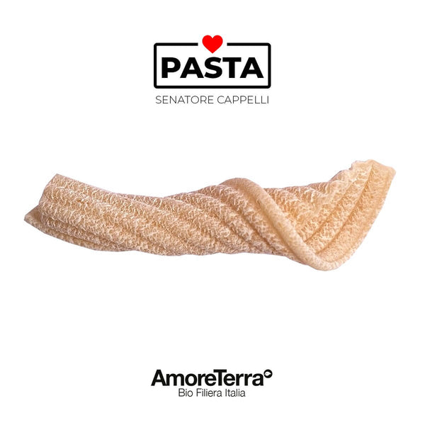 Torchietti integrali Cappelli, BIO, artigianali | AmoreTerra €3.7 AmoreTerra