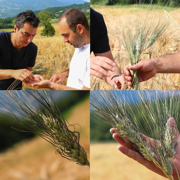 Strozzapreti Khorasan italia, Bio artigianali | AmoreTerra €4.2 AmoreTerra