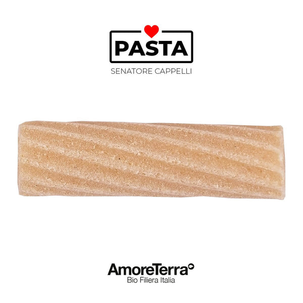 Macaroni int. S. Cappelli, BIO, artisan |AmoreTerra €3.25 AmoreTerra
