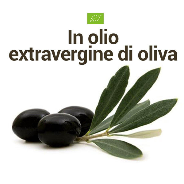 Olive Celline di Nardò denocciolate Bio, Olio EVO|AmoreTerra €8.5 AmoreTerra