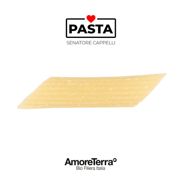 Offerta 3Kg Penne S. Cappelli artigianale, BIO | AmoreTerra €18.33 AmoreTerra