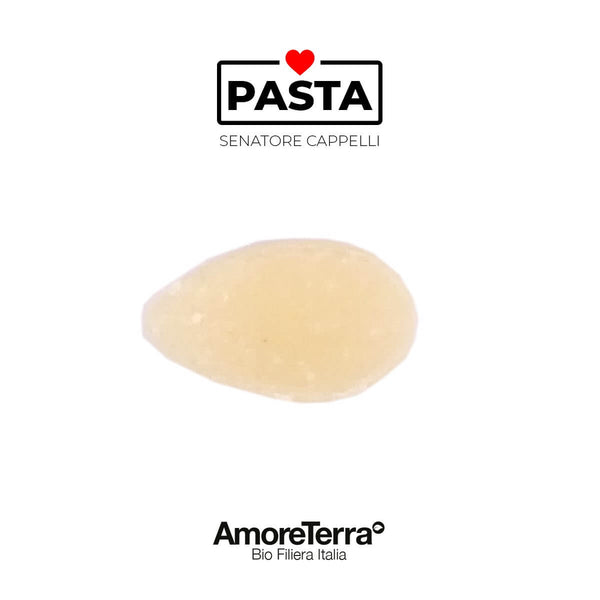 Offerta 12 pz Pastina S. Cappelli bio artigianale|AmoreTerra €36.66 AmoreTerra