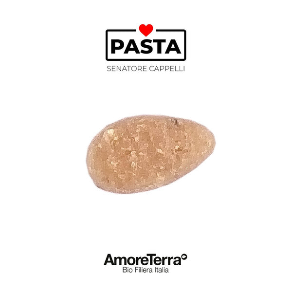 Offerta 12 pz Pastina S. Cappelli bio artigianale|AmoreTerra €36.66 AmoreTerra