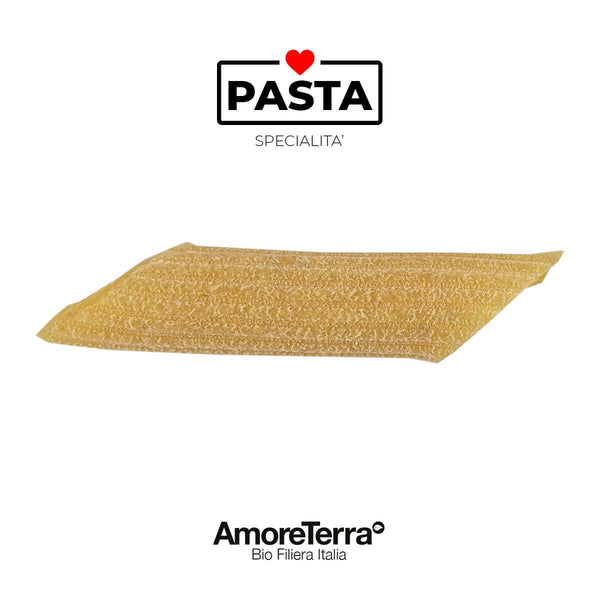 Penne S. Cappelli con curcuma e pepe nero BIO | AmoreTerra €2.65 AmoreTerra