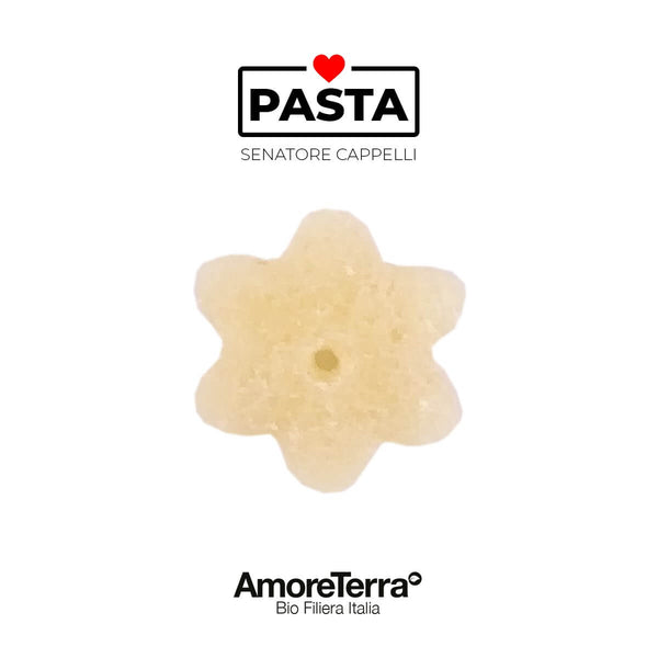 Offerta 12 pz Pastina S. Cappelli bio artigianale|AmoreTerra €36.66 AmoreTerra