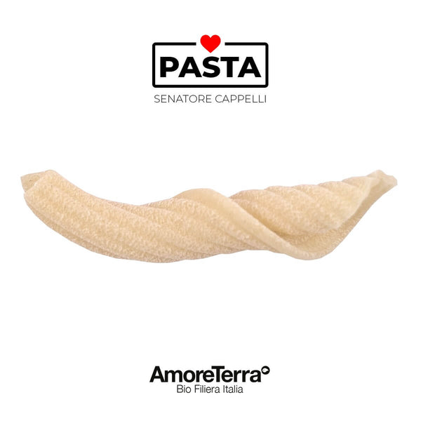 (offerta) 10 pz. S. Cappelli, artigianale, BIO | AmoreTerra €33.18 AmoreTerra